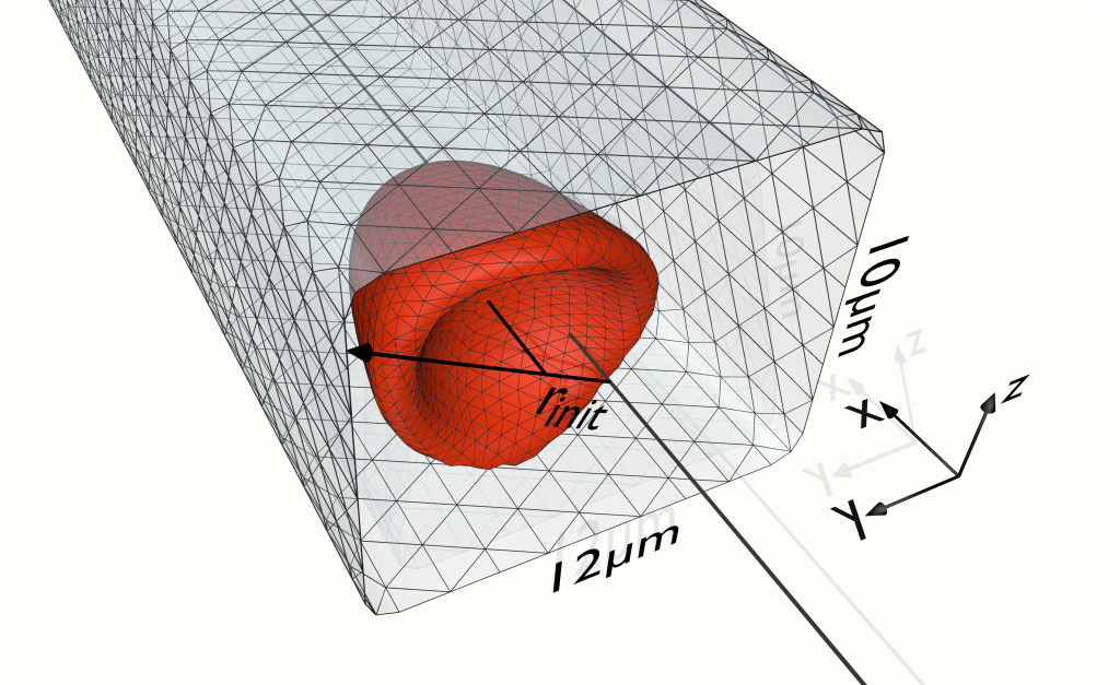Boundary integral simulation of a red blood cell in a cylindrical blood vessel (croissant shape)