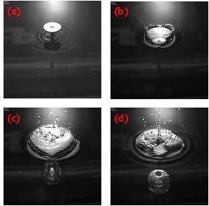 Impact of a disc on a liquid surface