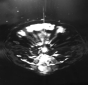 Impact of a disc on a liquid surface